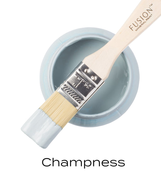 CHAMPNESS Fusion Mineral Paint